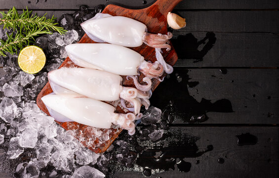 Fresh squid or raw squid on a wooden board with ingredients of Green rosemary. Lemon. Seafood menu on wooden background. Top view.