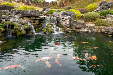 Rockery rocks in the beautiful garden and boutique koi in the pond