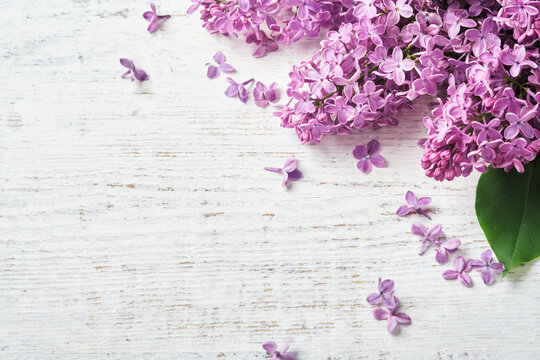 Blooming lilac flowers. Bouquet of fresh lilacs in spring on a white rustic wooden background. Frame for birthday invitation, wedding or engagement. Congratulation. Dreamy gentle air artistic image.