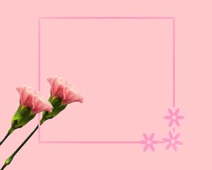 Pink flowers with plain background