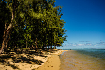 Tropischer Strandzauber auf Mauritius