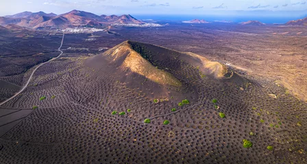 Poster Volcanic Lanzarote islands. Unique traditional vineyards in black soil. la Geria village. Canary islands countryside aerial drone view scenery. © Freesurf