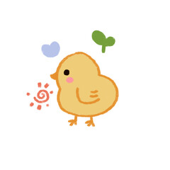 Fototapeta premium Chicken 