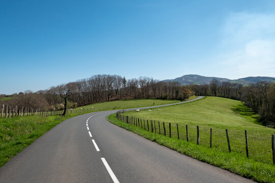 Estrada asfaltada a meio uma verde pastagem rodeada por uma cerca de madeira e algumas ovelhas ao fundo no pasto