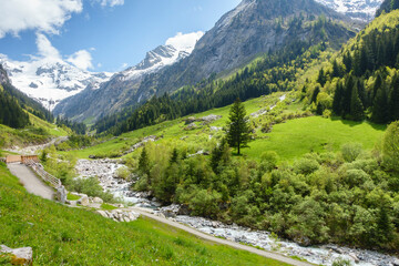 Fototapeta na wymiar Alpenstraße durch eine grüne Landschaft in den tiroler Bergen
