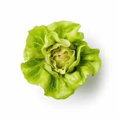 Butter lettuce leaf isolated on white background. Generative AI