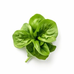 Mche Lambs lettuce leaf isolated on white background. Generative AI