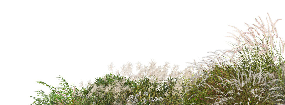 A small garden foreground with many plants and grasses on a transparent background.