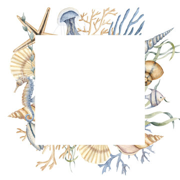 Seashell watercolor square Frame on white isolated background. Hand drawn illustration of backdrop with sea Shells. Underwater border for icon or logo in marine style with cockleshells and starfish.