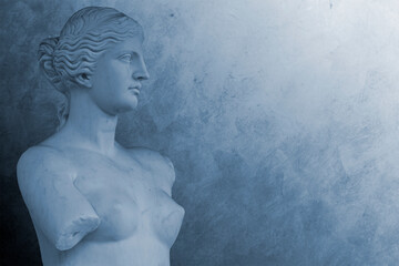 Statue of Venus de Milo  Reproduction version, Head and Torso Detail Perspective with eyes looking into copy space