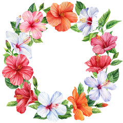 Hibiscus flowers wreath, isolated white background, botanical illustration, tropical colorful floral watercolor. 