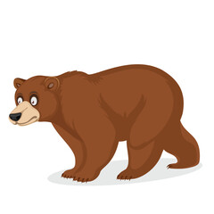 bear vector art illustration cartoon design