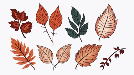 Fototapeta premium set of autumn leaves, design elements, frames, calligraphic. Vector floral illustration with branches, berries, feathers and leaves. Nature frame on white background
