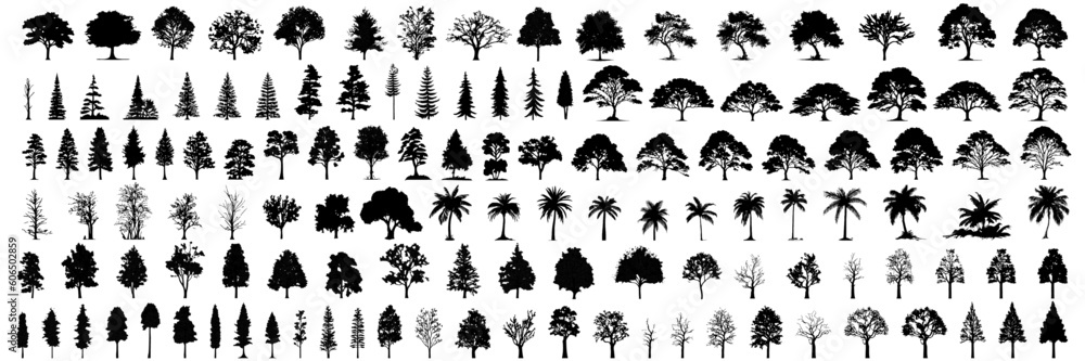 Poster silhouette tree line drawing set, Side view, set of graphics trees elements outline symbol for architecture and landscape design drawing. Vector illustration in stroke fill in white. Tropical