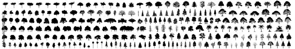 Poster silhouette tree line drawing set, Side view, set of graphics trees elements outline symbol for architecture and landscape design drawing. Vector illustration in stroke fill in white. Tropical