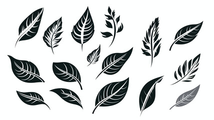 Fototapeta premium set of silhouettes of leaves, design elements, frames, calligraphic. Vector floral illustration with branches, berries, feathers and leaves. Nature frame on white background
