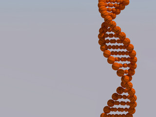 DNA helix made with Basketball Sport Genetics concept 3D rendering