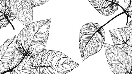 set of leaves, design elements, frames, calligraphic. Vector floral illustration with branches, berries, feathers and leaves. Nature frame on white background