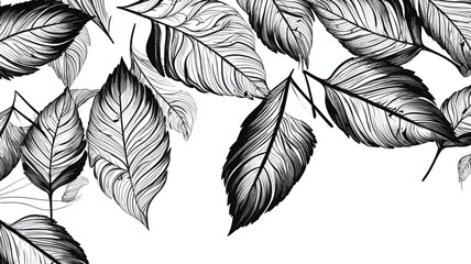 set of leaves design elements, frames, calligraphic. Vector floral illustration with branches, berries, feathers and leaves. Nature frame on white background
