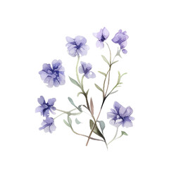 Fototapeta na wymiar watercolor branch of purple lavender lilac lavender
