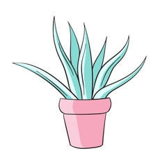 Blue Agave plant in a flower pot, flat vector illustration. Aloe vera, green succulent growing. Houseplant, natural interior decoration. Cartoon vector illustration isolated on a white background.