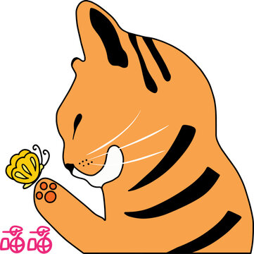 cat and butterfly