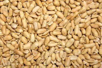A lot of roasted salted peanuts are laid out in a chaotic manner for a photo background. Advertising healthy and nutritious nuts for healthy eating