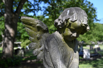 Hull Northern Cemetery Chanterlands Avenue, Kingston upon Hull