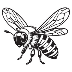 This is a Honey Bee Clipart Vector, Honey bee vector illustration.