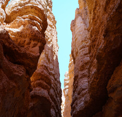 The orange colored rock formation in Bryce Canyon National Park