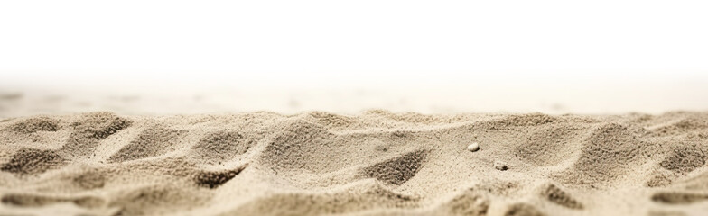 Fototapeta na wymiar close-up of sand on the beach on a transparent background. generative AI.