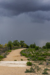 A long dirt path in an urban park