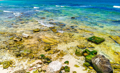 Stones rocks corals turquoise green blue water on beach Mexico.