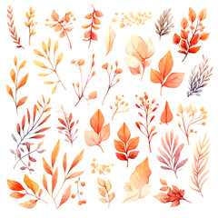 set of atumn floral watercolor, flower watercolor, leaves watercolor