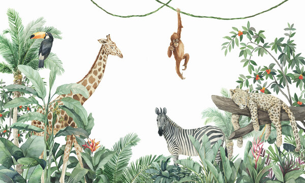 jungle, tropical plants, animals, giraffe, zebra, leopard