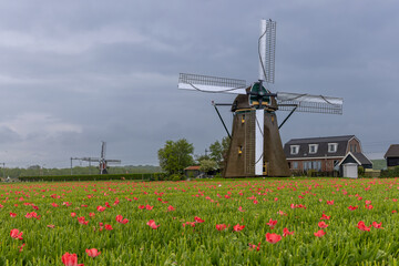 Historic windmill in Netherlands called Hogeveensemolen built in 1654.