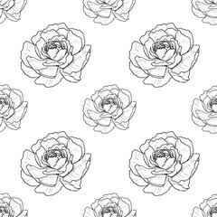 Roses flower line art seamless pattern. Black outline vector botanical art. Modern floral illustration.