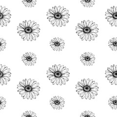 Daisy flower line art seamless pattern. Black outline vector botanical art. Modern floral background.
