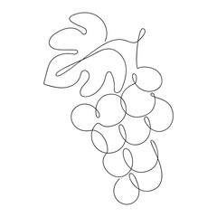 Grape drawn in one continuous line. One line drawing, minimalism. Vector illustration.
