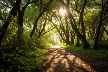 Naklejka premium Path in forest park with beautiful sunbeams coming through tall trees. Generative AI