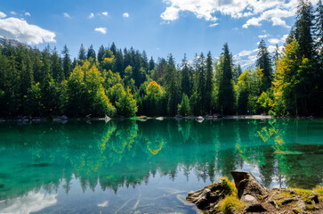 Amazing blue lake with pines and mountains
