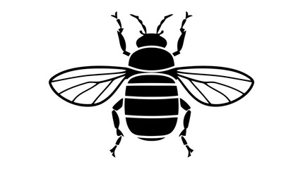 Vector black silhouette of a beetle isolated on a white background.