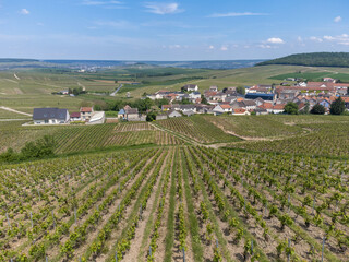 Fototapeta na wymiar Panoramic aerial view on green grand cru champagne vineyards and village Cramant, Cotes des Blancs, Champange, France