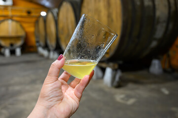 Tasting of traditional natural Asturian cider made from fermented apples in barrels for several...
