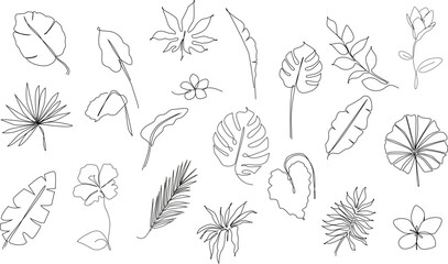 Tropical leaves one line drawing.Continuous line drawing of tropical palm leaf.Single one line exotic flowers and palm leaf .Leaves outline sketch.Jungle plant leaf line art.Set tropical leaves.