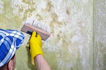 A repairman with a brush processes the wall from mold and mildew