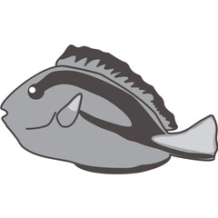 Hand Drawn Blue Tang Fish