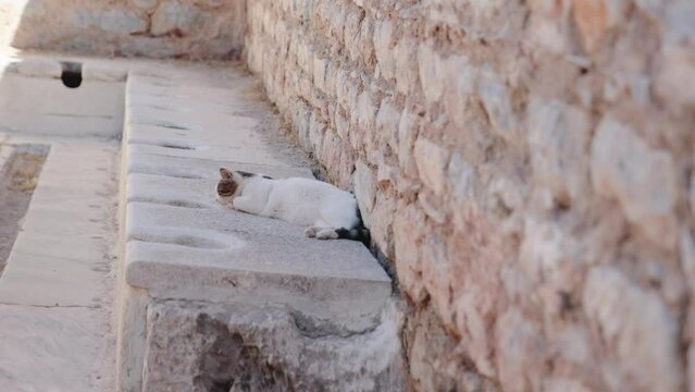 Ancient Ephesus public lavatories, at Ephesus, greek city
