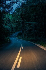 Windy forest evening road in dusk,  headlights illuminate the road, vertical image