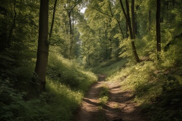 Road in summer forest, generative ai